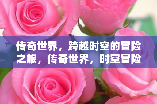 跨越时空的冒险之旅图片