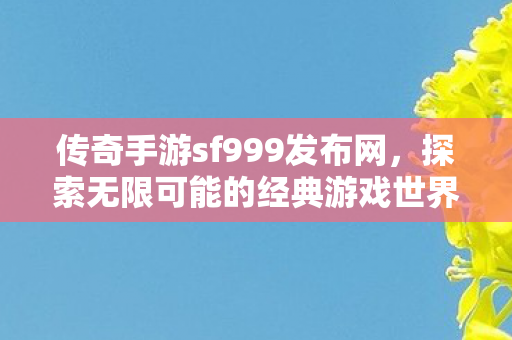 传奇手游sf999发布网开启无限可能图片