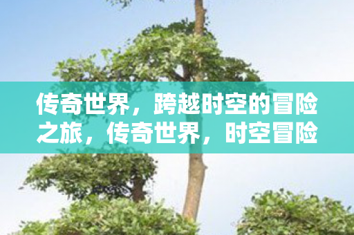 跨越时空的冒险之旅图片