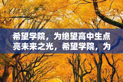 希望学院，为绝望高中生点亮未来之光，希望学院，为绝望高中生点亮未来之光