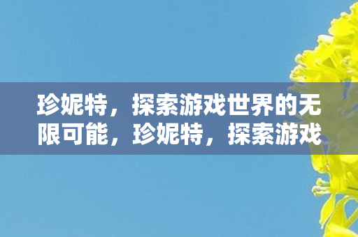 珍妮特，探索游戏世界的无限可能，珍妮特，探索游戏世界的无限可能