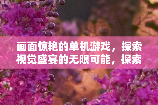 画面惊艳的单机游戏,探索视觉盛宴的无限可能,探索视觉盛宴,惊艳单机游戏大盘点 画面惊艳的单机游戏,探索视觉盛宴的无限可能,探索视觉盛宴,惊艳单机游戏大盘点