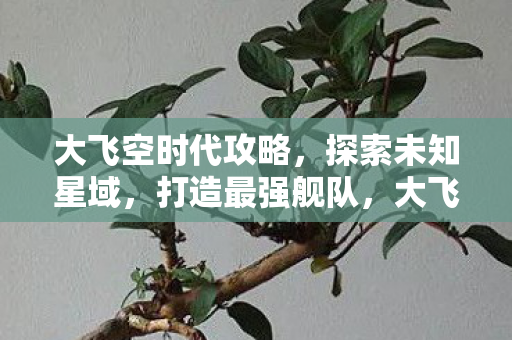 大飞空时代攻略,探索未知星域,打造最强舰队,大飞空时代,打造最强舰队,探索未知星域攻略 大飞空时代攻略,探索未知星域,打造最强舰队,大飞空时代,打造最强舰队,探索未知星域攻略