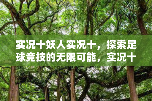 实况十妖人实况十,探索足球竞技的无限可能,实况十妖人,探索足球竞技的无限可能 实况十妖人实况十,探索足球竞技的无限可能,实况十妖人,探索足球竞技的无限可能