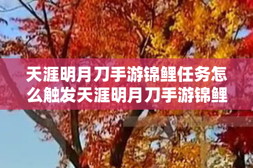 天涯明月刀手游锦鲤任务怎么触发天涯明月刀手游锦鲤任务图片