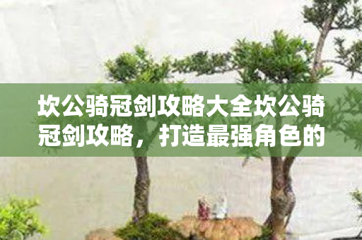 坎公骑冠剑攻略大全坎公骑冠剑攻略,打造最强角色的关键步骤,坎公骑冠剑攻略,打造最强角色的关键步骤 坎公骑冠剑攻略大全坎公骑冠剑攻略,打造最强角色的关键步骤,坎公骑冠剑攻略,打造最强角色的关键步骤
