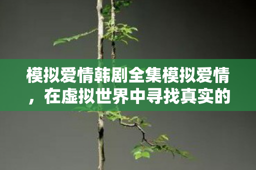 模拟爱情韩剧全集模拟爱情，在虚拟世界中寻找真实的情感，模拟爱情，在虚拟世界寻找真实情感