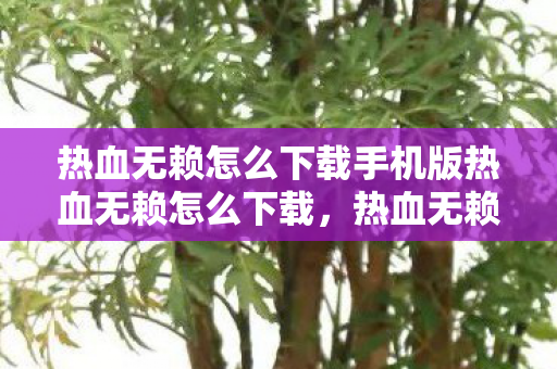 热血无赖怎么下载手机版热血无赖怎么下载,热血无赖手机版下载指南 热血无赖怎么下载手机版热血无赖怎么下载,热血无赖手机版下载指南