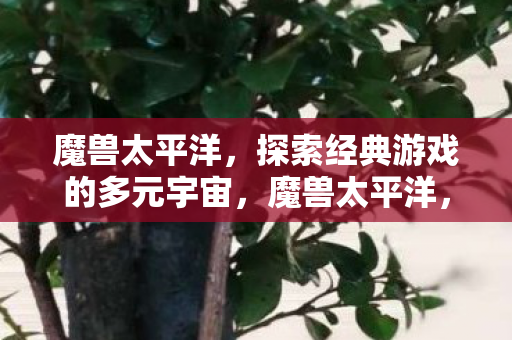 魔兽太平洋，探索经典游戏的多元宇宙，魔兽太平洋，探索经典游戏的多元宇宙之旅