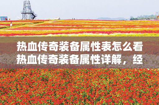 热血传奇装备属性表怎么看热血传奇装备属性详解图片