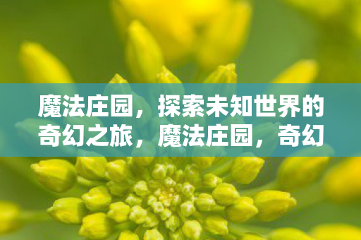 魔法庄园，探索未知世界的奇幻之旅，魔法庄园，奇幻之旅，探索未知世界