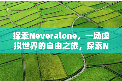 探索Neveralone，一场虚拟世界的自由之旅，探索Neveralone，虚拟世界的自由之旅