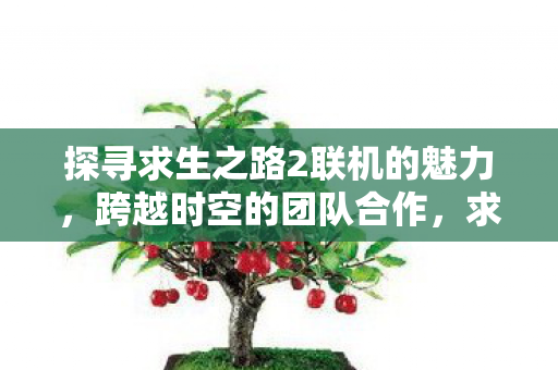 探寻求生之路2联机的魅力,跨越时空的团队合作,求生之路2联机,跨越时空的团队合作魅力 探寻求生之路2联机的魅力,跨越时空的团队合作,求生之路2联机,跨越时空的团队合作魅力