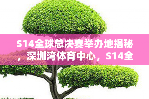 S14全球总决赛举办地揭秘,深圳湾体育中心,S14全球总决赛将落地深圳湾体育中心 S14全球总决赛举办地揭秘,深圳湾体育中心,S14全球总决赛将落地深圳湾体育中心