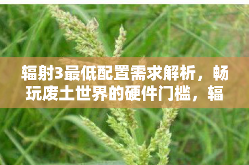辐射3最低配置需求解析,畅玩废土世界的硬件门槛,辐射3畅玩废土世界的硬件门槛解析 辐射3最低配置需求解析,畅玩废土世界的硬件门槛,辐射3畅玩废土世界的硬件门槛解析
