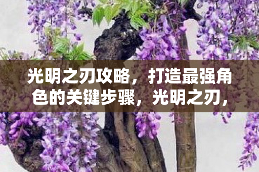 光明之刃攻略，打造最强角色的关键步骤，光明之刃，打造最强角色的关键步骤攻略