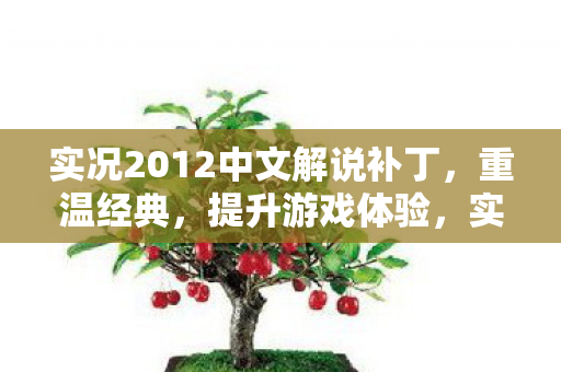 实况2012中文解说补丁,重温经典,提升游戏体验,实况2012中文解说补丁,重温经典,提升游戏体验 实况2012中文解说补丁,重温经典,提升游戏体验,实况2012中文解说补丁,重温经典,提升游戏体验