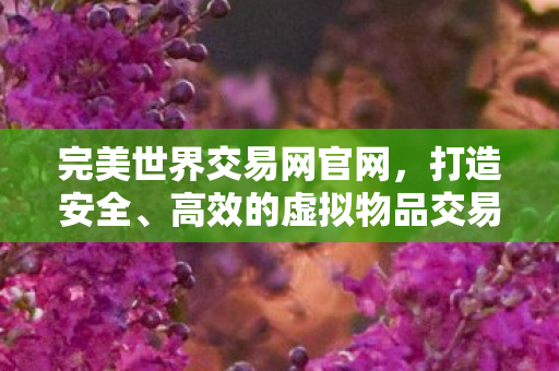 完美世界交易网官网，打造安全、高效的虚拟物品交易平台，完美世界交易网官网，打造安全高效的虚拟物品交易新体验
