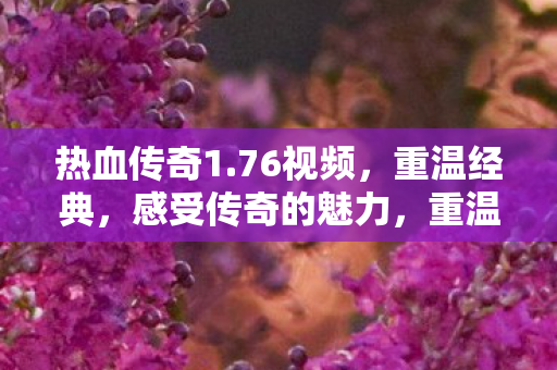 感受传奇的魅力图片