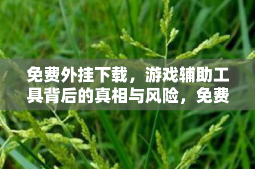 免费外挂下载,游戏辅助工具背后的真相与风险,免费外挂背后的风险,游戏辅助工具真相揭秘 免费外挂下载,游戏辅助工具背后的真相与风险,免费外挂背后的风险,游戏辅助工具真相揭秘