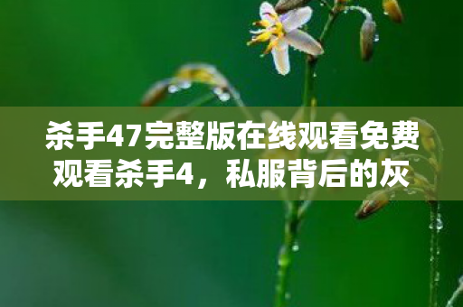 杀手47完整版在线观看免费观看杀手4,私服背后的灰色产业链,揭秘私服背后的灰色产业链,杀手47完整版在线观看免费观看 杀手47完整版在线观看免费观看杀手4,私服背后的灰色产业链,揭秘私服背后的灰色产业链,杀手47完整版在线观看免费观看