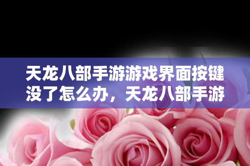 天龙八部手游游戏界面按键消失解决方法图片
