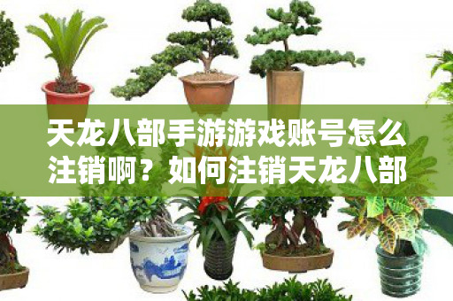 天龙八部手游游戏账号怎么注销啊图片