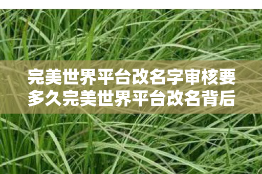 完美世界平台改名字审核要多久完美世界平台改名背后的深意与未来展望，完美世界平台改名背后的深意与未来展望