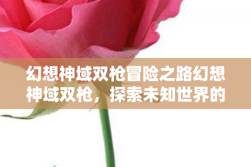 幻想神域双枪冒险之路幻想神域双枪，探索未知世界的双枪英雄，幻想神域双枪，探索未知世界的英雄之旅