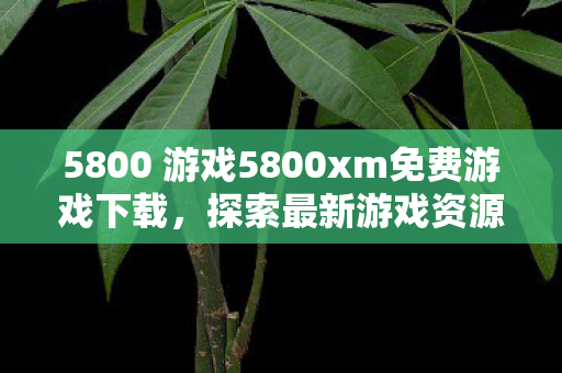 5800 游戏5800xm免费游戏下载,探索最新游戏资源,畅享无限娱乐,5800xm免费游戏下载,探索最新游戏资源,畅享无限娱乐 5800 游戏5800xm免费游戏下载,探索最新游戏资源,畅享无限娱乐,5800xm免费游戏下载,探索最新游戏资源,畅享无限娱乐