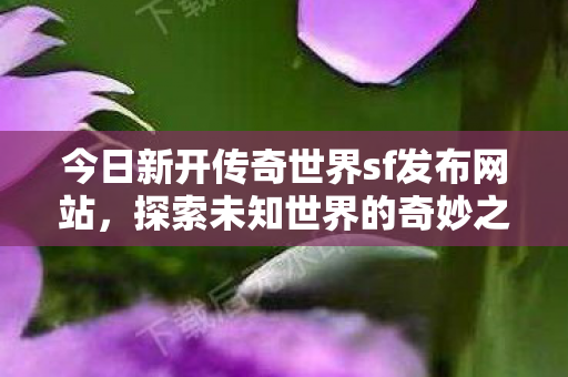 今日新开传奇世界sf发布网站，探索未知世界的奇妙之旅，探索未知世界的奇妙之旅，新开传奇世界sf发布网站