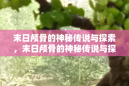 末日颅骨的神秘传说与探索，末日颅骨的神秘传说与探索之旅