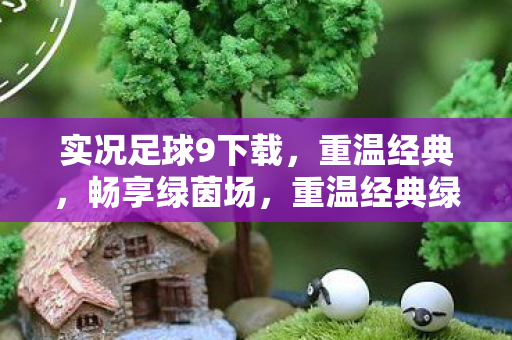 实况足球9下载,重温经典,畅享绿茵场,重温经典绿茵场,实况足球9下载开启 实况足球9下载,重温经典,畅享绿茵场,重温经典绿茵场,实况足球9下载开启