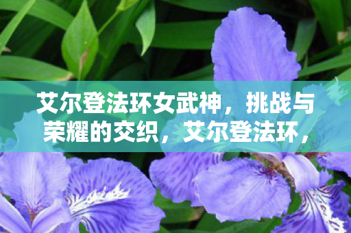 艾尔登法环女武神,挑战与荣耀的交织,艾尔登法环,女武神,挑战与荣耀的交织 艾尔登法环女武神,挑战与荣耀的交织,艾尔登法环,女武神,挑战与荣耀的交织