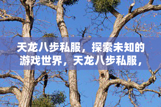 探索未知的游戏世界图片