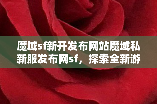 魔域sf新开发布网站魔域私新服发布网sf图片