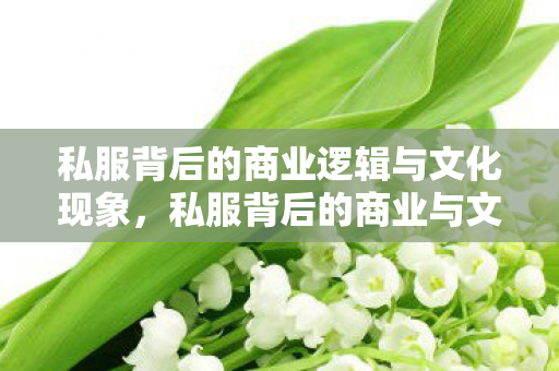 私服背后的商业逻辑与文化现象，私服背后的商业与文化现象解析