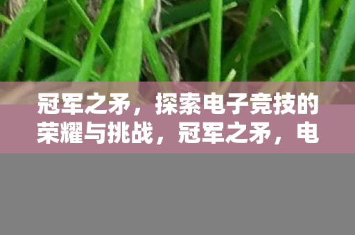 冠军之矛，探索电子竞技的荣耀与挑战，冠军之矛，电子竞技的荣耀与挑战