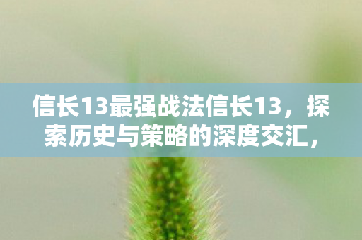 信长13最强战法信长13,探索历史与策略的深度交汇,信长13,历史与策略交汇的最强战法 信长13最强战法信长13,探索历史与策略的深度交汇,信长13,历史与策略交汇的最强战法
