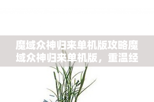 魔域众神归来单机版攻略魔域众神归来单机版，重温经典，独享传奇，魔域众神归来单机版，重温经典，独享传奇