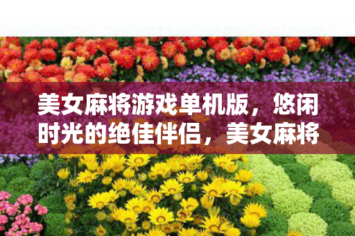 美女麻将游戏单机版，悠闲时光的绝佳伴侣，美女麻将，悠闲时光的最佳伴侣