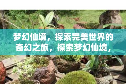 探索完美世界的奇幻之旅图片