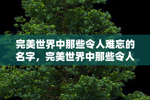 完美世界中那些令人难忘的名字图片