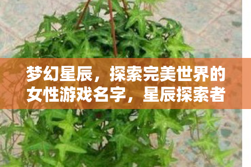 梦幻星辰，探索完美世界的女性游戏名字，星辰探索者，完美世界的梦幻之旅