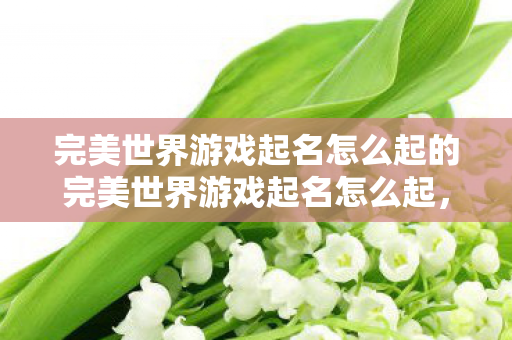 完美世界游戏起名怎么起的完美世界游戏起名怎么起，如何为完美世界游戏起名字