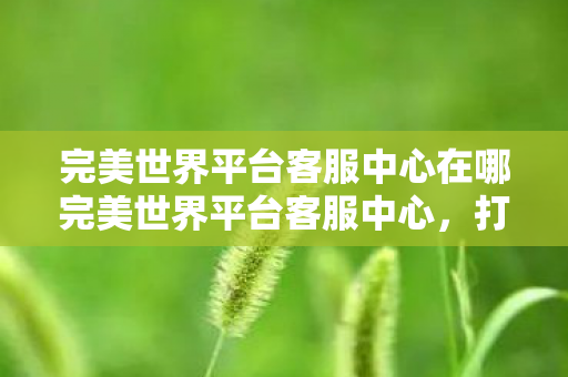 完美世界平台客服中心在哪完美世界平台客服中心,打造卓越游戏体验的坚实后盾,打造卓越游戏体验,揭秘完美世界平台客服中心 完美世界平台客服中心在哪完美世界平台客服中心,打造卓越游戏体验的坚实后盾,打造卓越游戏体验,揭秘完美世界平台客服中心