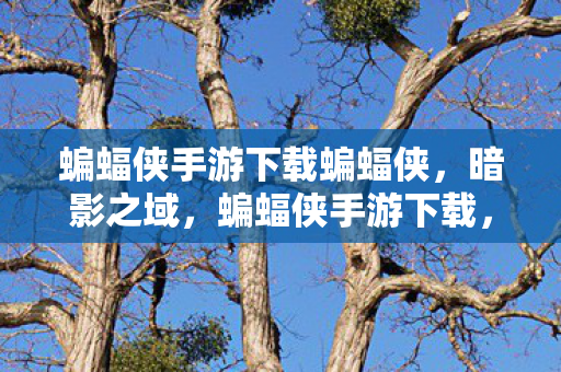 蝙蝠侠手游下载蝙蝠侠,暗影之域,蝙蝠侠手游下载,探索暗影之域 蝙蝠侠手游下载蝙蝠侠,暗影之域,蝙蝠侠手游下载,探索暗影之域