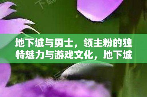 地下城与勇士，领主粉的独特魅力与游戏文化，地下城与勇士领主粉，独特魅力与游戏文化的融合