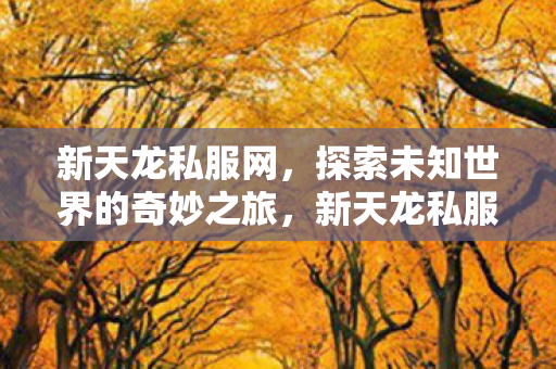 新天龙私服网，探索未知世界的奇妙之旅，新天龙私服网，开启探索未知世界的奇妙之旅