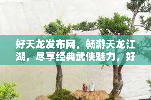 好天龙发布网，畅游天龙江湖，尽享经典武侠魅力，好天龙发布网，畅游经典武侠世界，尽享天龙江湖魅力